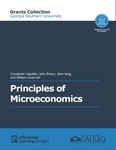 Principles of Microeconomics (GA Southern) by Constantin Ogloblin, John Brown, John King, and William Levernier