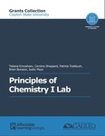 Principles of Chemistry I Lab (Clayton) by Tatiana Krivosheev, Caroline Sheppard, Patricia Todebush, Bram Boroson, and Justin Mays