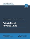 Principles of Physics I Lab (Clayton) by Tatiana Krivosheev, Caroline Sheppard, Patricia Todebush, Bram Boroson, and Justin Mays